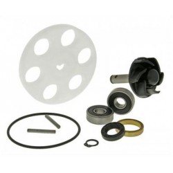 Sada na opravu vodní pumpy -EU- MINARELLI 50ccm kompletní sada