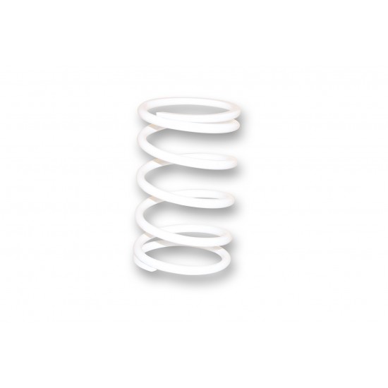 Torque spring -MALOSSI- HONDA Silverwing SW-T 400-600cc white