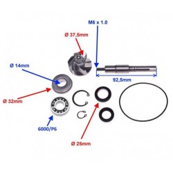 Oprava vodní pumpy -WM-Honda Sh Dylan Pantheon S-Wing Chicciola 125-150 4T