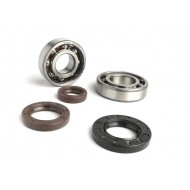 Bearing and oil seal set for crankshaft -BGM-Morini 50CC AC LC, Suzuki Katana Address, Aprilia Sr Mojito, TGB