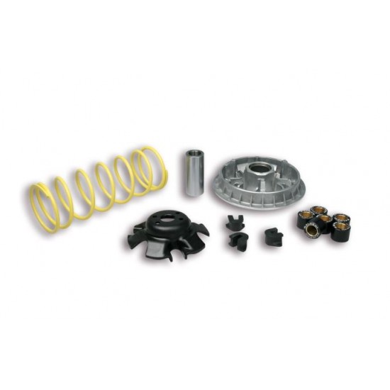 Variator kit -MALOSSI- Multivar 2000, KYMCO BetWin Grand, Dink, People, Yup, 250 cc 4-stroke LC 23x18mm, 6pcs rollers, 20.0g, 5111838